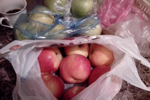 Allview P3 AllDro - Mostre Foto