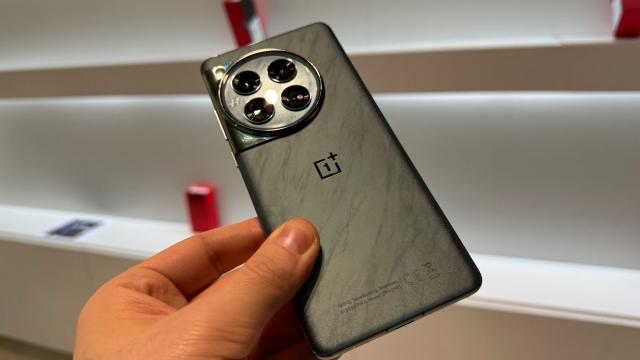 <b>OnePlus 13R va exista şi va sosi cu dotări de flagship și cost de mid-range</b>La început de an 2024 mă fost oarecum surprinşi că OnePlus a adus la noi şi OnePlus 12R, nu doar pe OnePlus 12. Ei bine, se pare că va exista şi un OnePlus 13R, care va sosi cu funcţii de flagship şi preţ midrange
