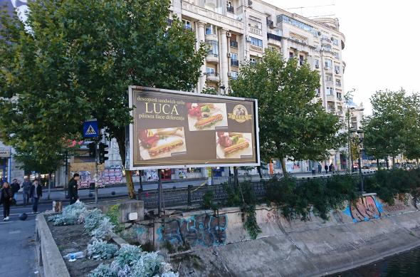 Sony Xperia XZ - Mostre Foto (ziua): DSC_0187.JPG