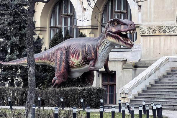 Huawei Mate X7 - Mostre Foto (zoom)