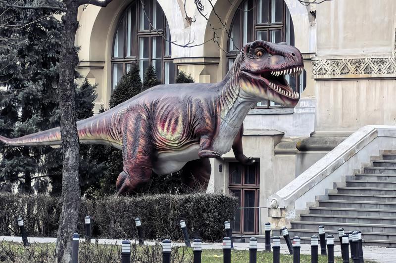 Huawei Mate X7 - Mostre Foto (zoom): IMG_20260201_170920.jpg