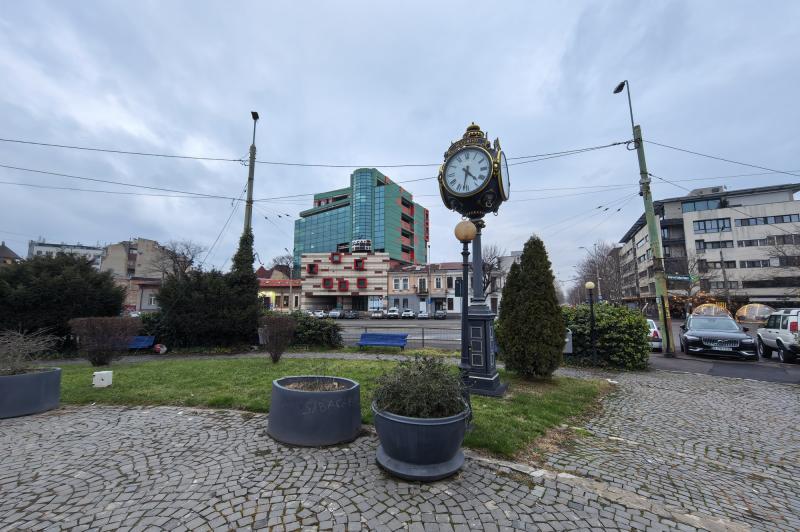 Huawei Mate X7 - Mostre foto (Ultrawide): IMG_20260131_163301.jpg