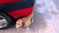 HTC Wildfire S video sample II. - Mobilissimo.ro