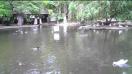 HTC Windows Phone 8S video sample III. - Mobilissimo.ro