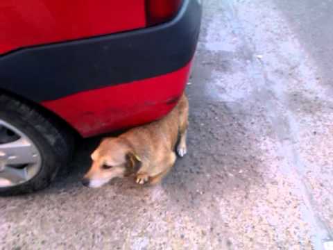 HTC Wildfire S video sample II. - Mobilissimo.ro