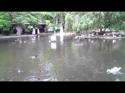 HTC Windows Phone 8S video sample III. - Mobilissimo.ro