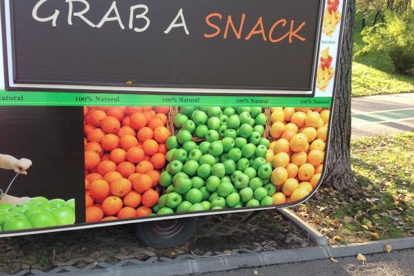 Apple iPhone 5 - Mostre Foto (ziua)