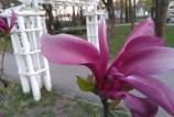 IMG_20170401_004022.jpg