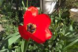 IMG_20170401_213715.jpg