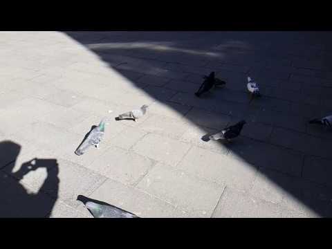 Samsung Galaxy S8, mostră video HD 240 FPS (slow motion)