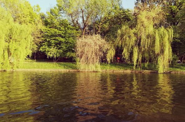 HUAWEI P20 Pro - Mostre Foto (ziua): IMG_20180422_185233.jpg