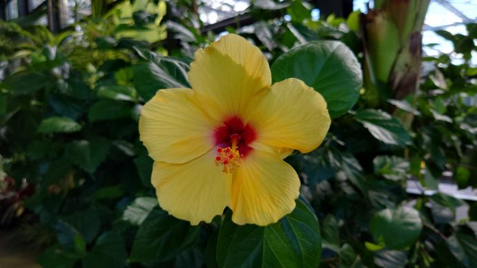 Sony Xperia 5 IV - Mostre Foto (ziua): 20221002_090107.jpg