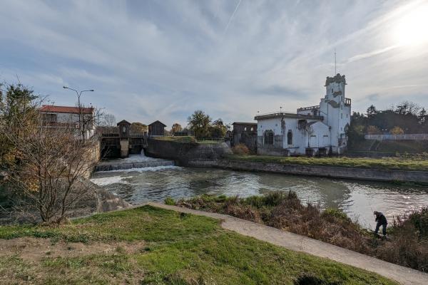 Google Pixel 7 Pro - Mostre Foto (ziua)