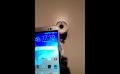 HTC One M9 hands-on (Bogdan Popa) - Mobilissimo.ro