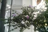 IMG_20120930_150936.jpg