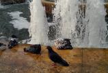 IMG_20120930_163703.jpg