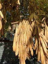 Photo 02.10.2024, 15 18 15.jpg