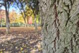 Samsung-Galaxy-S24-FE-Mostre-Closeup_006.jpg