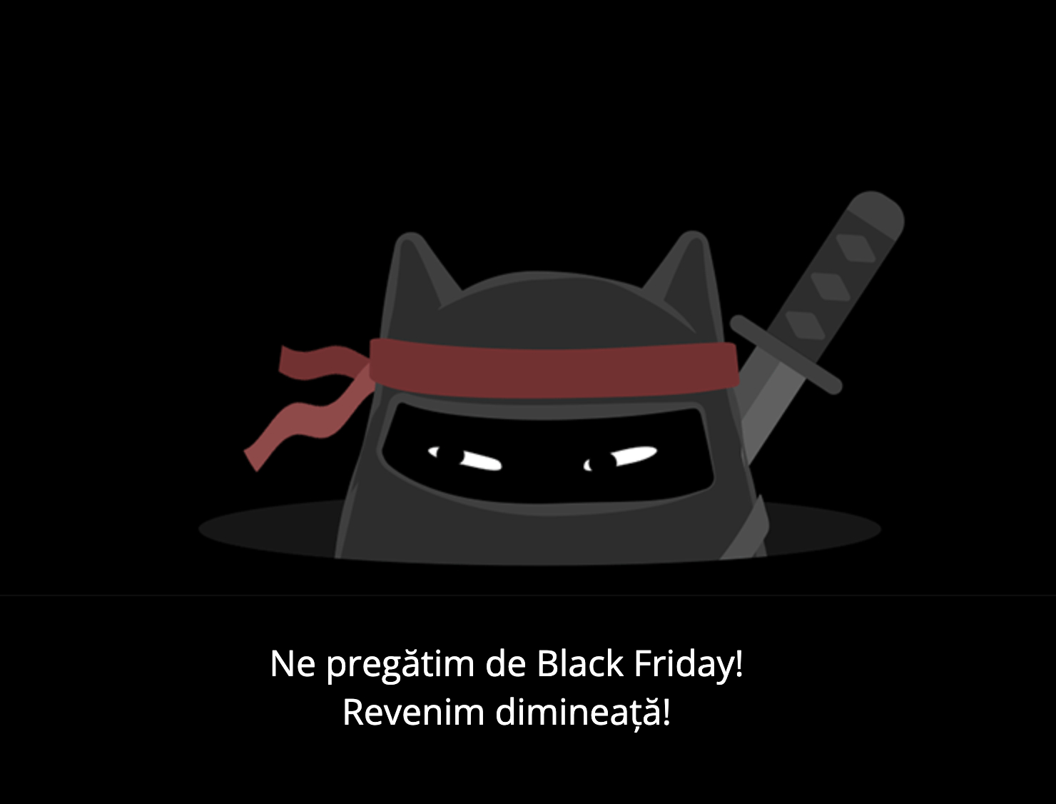 Black Friday 2024, Live Blogging Mobilissimo; Reduceri și cataloage eMAG, PC Garage, Fashion Days, evoMAG.ro, Flanco... - imaginea 7