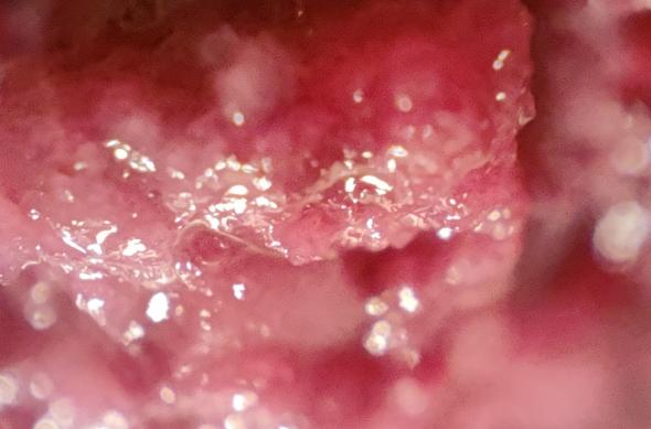 realme GT3 - Mostre foto (macro): IMG20231201160940.jpg
