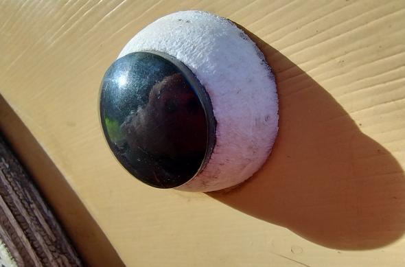 Motorola Moto G84 - Mostre Foto (ziua): IMG_20231004_161211590_HDR.jpg
