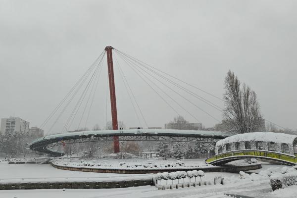 OnePlus 12 - Mostre zi