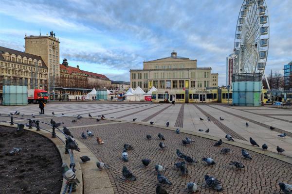 Honor Magic V2 - Mostre Foto (ziua)