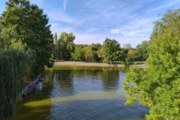 Motorola Moto G84 - Mostre Foto (ziua)