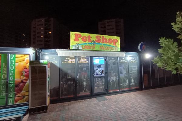 Motorola Moto G54 Power Edition - Mostre Foto (seara)