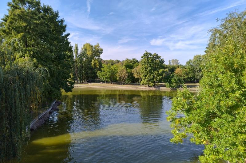 Motorola Moto G84 - Mostre Foto (ziua): IMG_20231004_160714755_HDR.jpg