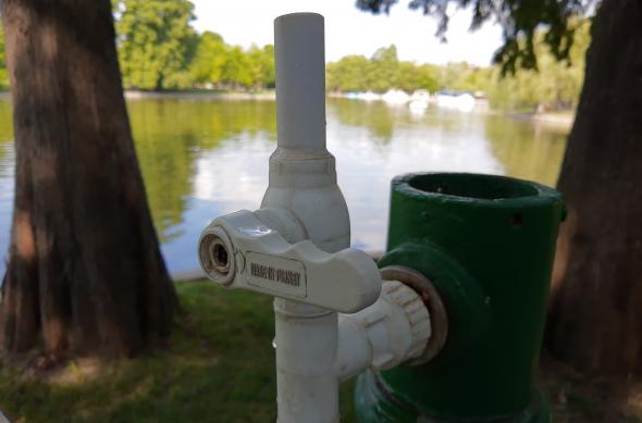 Motorola One Action - Mostre Foto (ziua): IMG_20190830_162045530.jpg