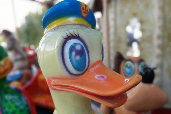 Motorola One Action - Mostre Foto (ziua)