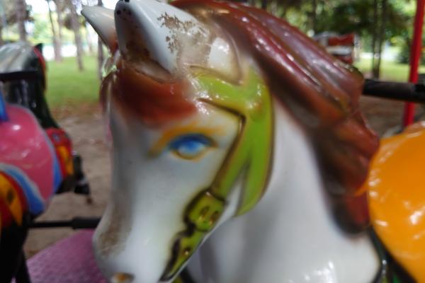 Sony Xperia 1 - Mostre Foto (bokeh)