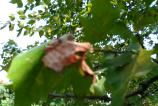 WP_20160912_15_23_55_Pro.jpg
