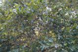 WP_20160912_15_23_29_Pro.jpg