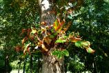 WP_20160912_15_38_31_Pro.jpg