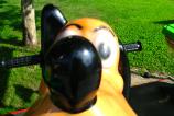 WP_20160912_15_39_49_Pro.jpg