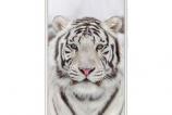 Ulefone Tiger (9).jpg