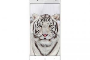 Ulefone Tiger