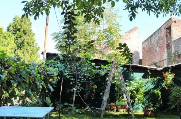 Acer Liquid Jade Primo - Mostre Foto (ziua): WP_20160902_15_35_43_Pro (2).jpg