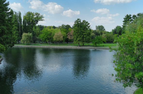 Acer Liquid Jade Primo - Mostre Foto (ziua): WP_20160912_15_18_14_Pro.jpg