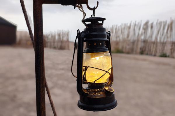 Motorola Edge 50 Pro - Mostre portrait