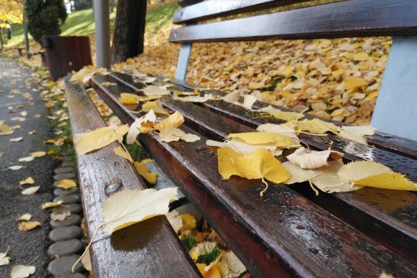 Motorola Moto G42 - Mostre foto