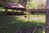 Allview-A5-Smiley-Mostre-foto-ziua_026.jpg
