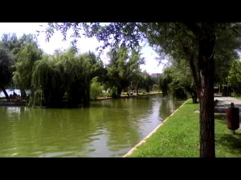 Allview A5 Smiley Video Samsple I. - Mobilissimo.ro