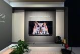 tv (2).jpg