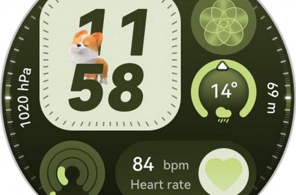 HUAWEI Watch GT 6 46mm - Screenshots: huawei health (1).jpg