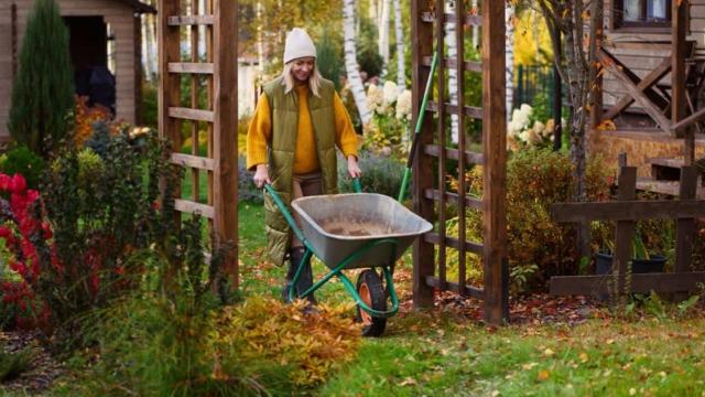 <b>Oferte de sezon din Germania #11: Top 5 aparate electrice ergonomice și eficiente pentru curățenia de toamnă în grădină</b>Iată că am ajuns la episodul #11 din seria „Oferte de sezon din Germania”. Odată cu sosirea toamnei, zilele devin mai scurte, iar grădinile noastre au nevoie de mai multă atenție – e momentul perfect să le pregătim pentru iarnă. Curățenia de toamnă