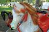 IMG_20220928_163934512_PORTRAIT.jpg