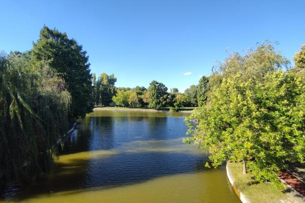 Motorola Edge 30 Neo - Mostre Foto (ziua)